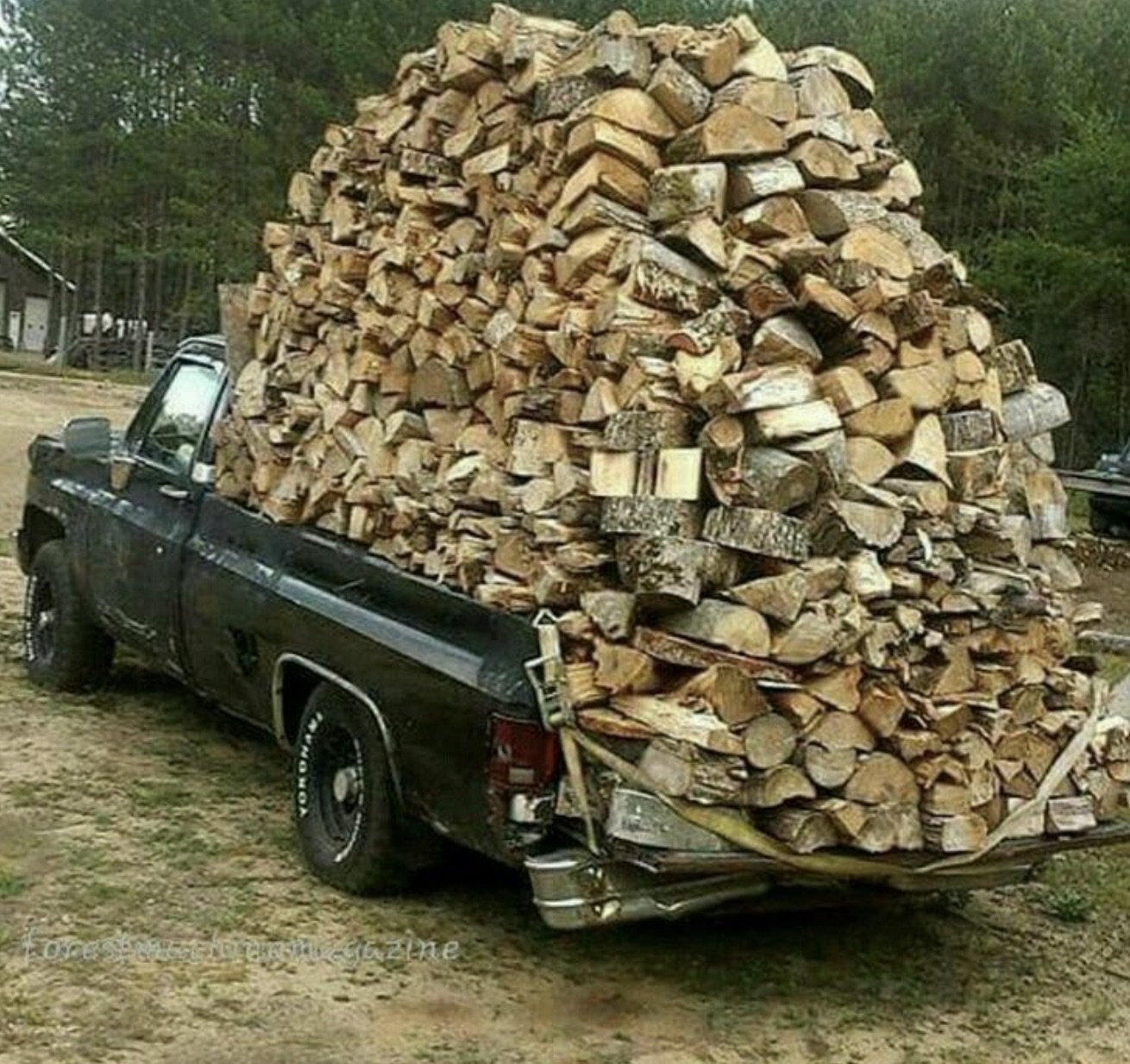 Over-preparing for a bonfire.